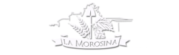 logo Morosina