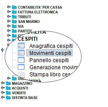 Gestione cespiti | Software contabilità aziendale Atlantis Evo